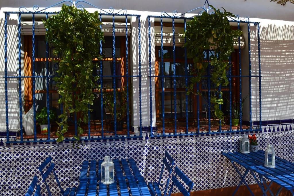 Apartamento En Sevilla Centro Con Vistas A La Plaza Alameda De Hercules - Hasta 6 Personas Exterior photo