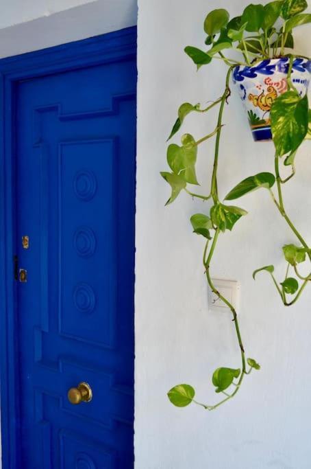 Apartamento En Sevilla Centro Con Vistas A La Plaza Alameda De Hercules - Hasta 6 Personas Exterior photo
